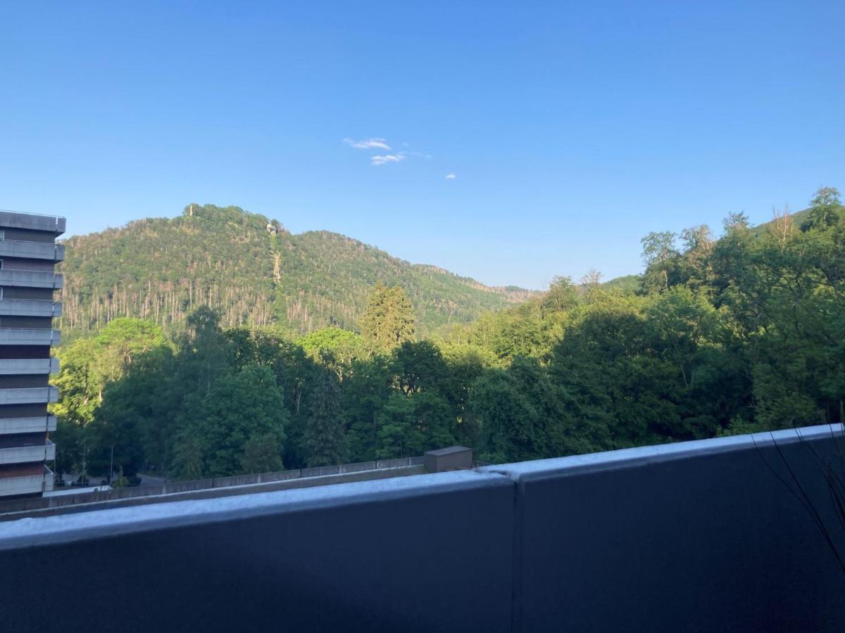 Das Kauzennest Apartment Bad Harzburg Luaran gambar